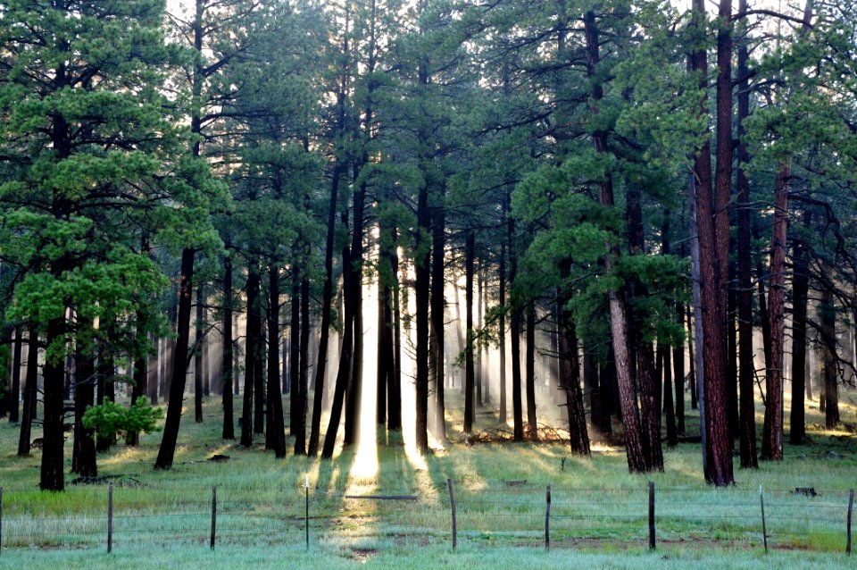 20120801-FS-Coconino-BS-001