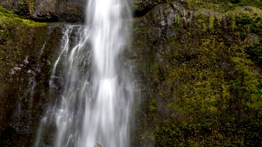 20190923-ColumbiaRiverGorge-CMR-0216a