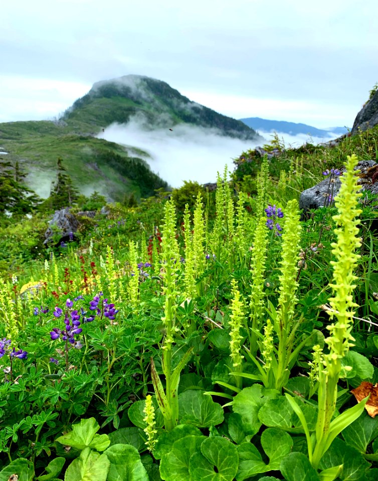 20191104-FS-Tongass-SS-001