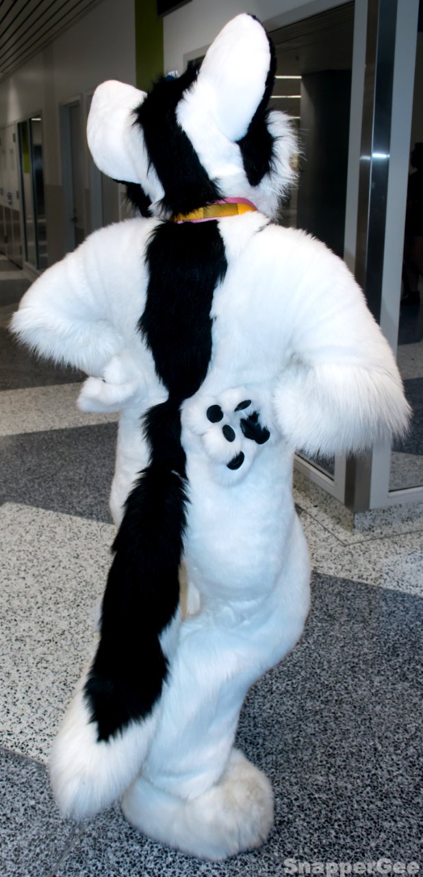 Liska Vixen Showin Some Stripe