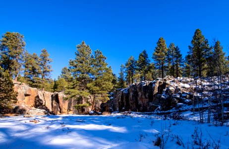 20181203-fs-kaibab-lsc-0634 47148852971 o