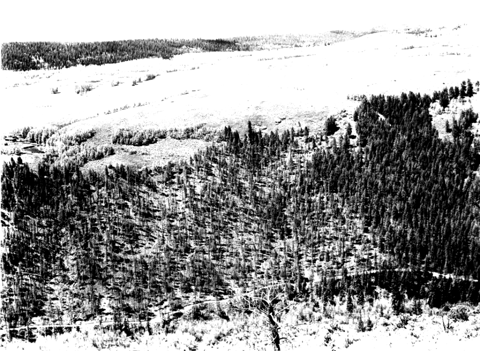 19380602-FS-White River-DWS-379076