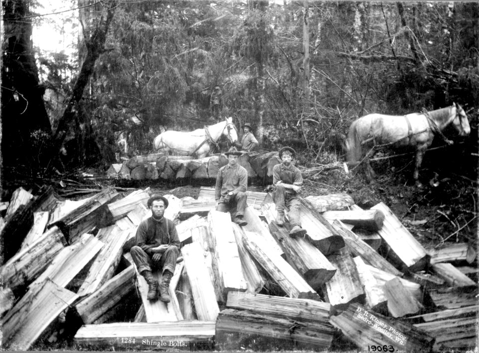 XXXXXXXX-FS-WA-DRKinsey-19063