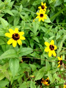 Jardim Botânico Plantarum