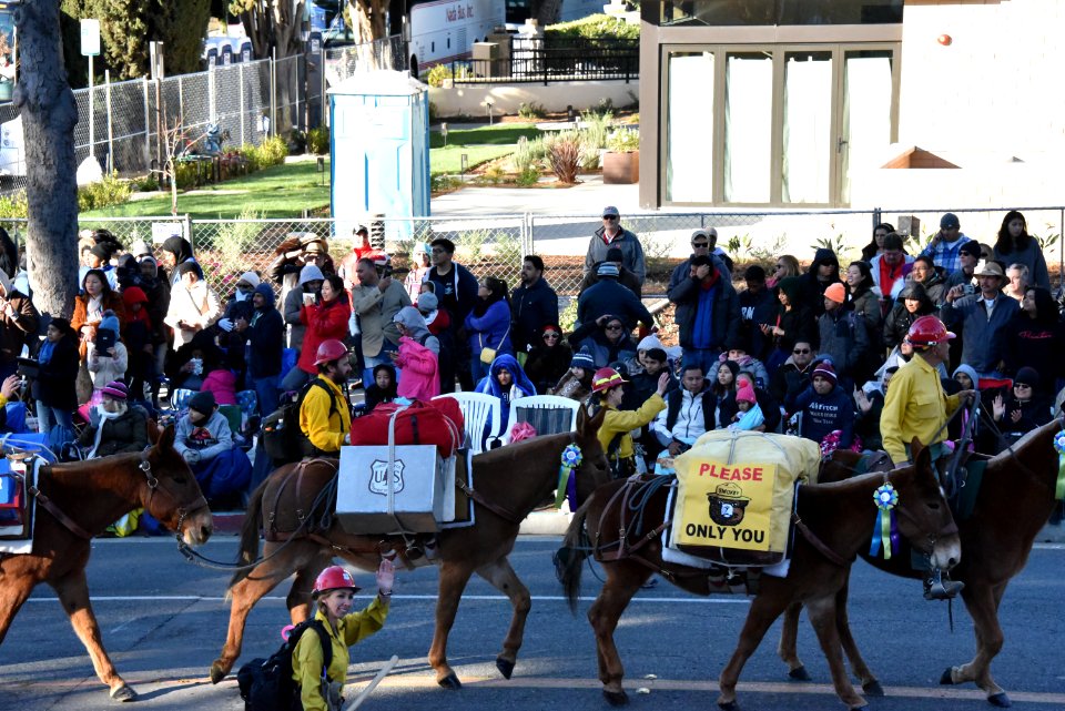 20190128-FS-RoseParade-JF-009