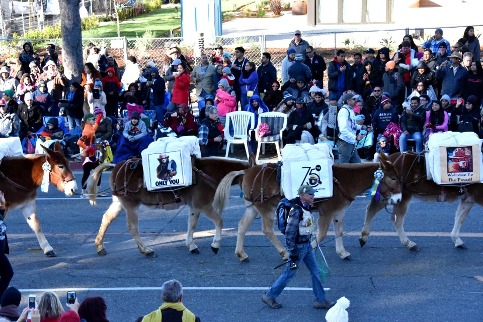 20190128-FS-RoseParade-JF-007