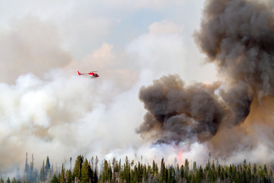 20160731-FS-Shoshone-KH-022.JPG