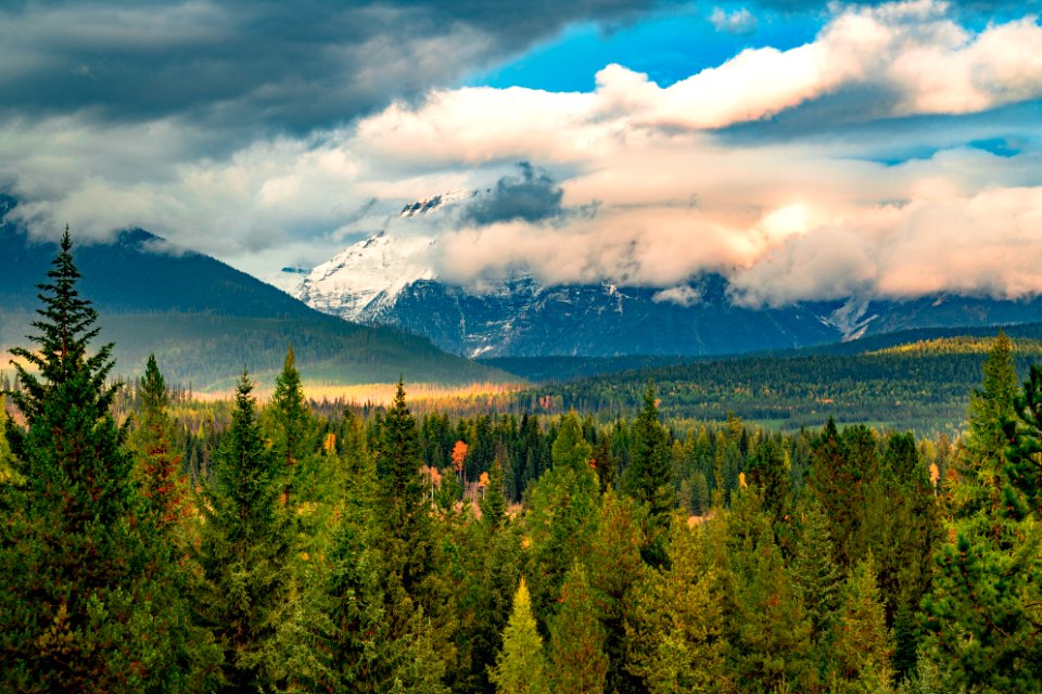 20190329-FS-FlatheadNF-YFYF-106