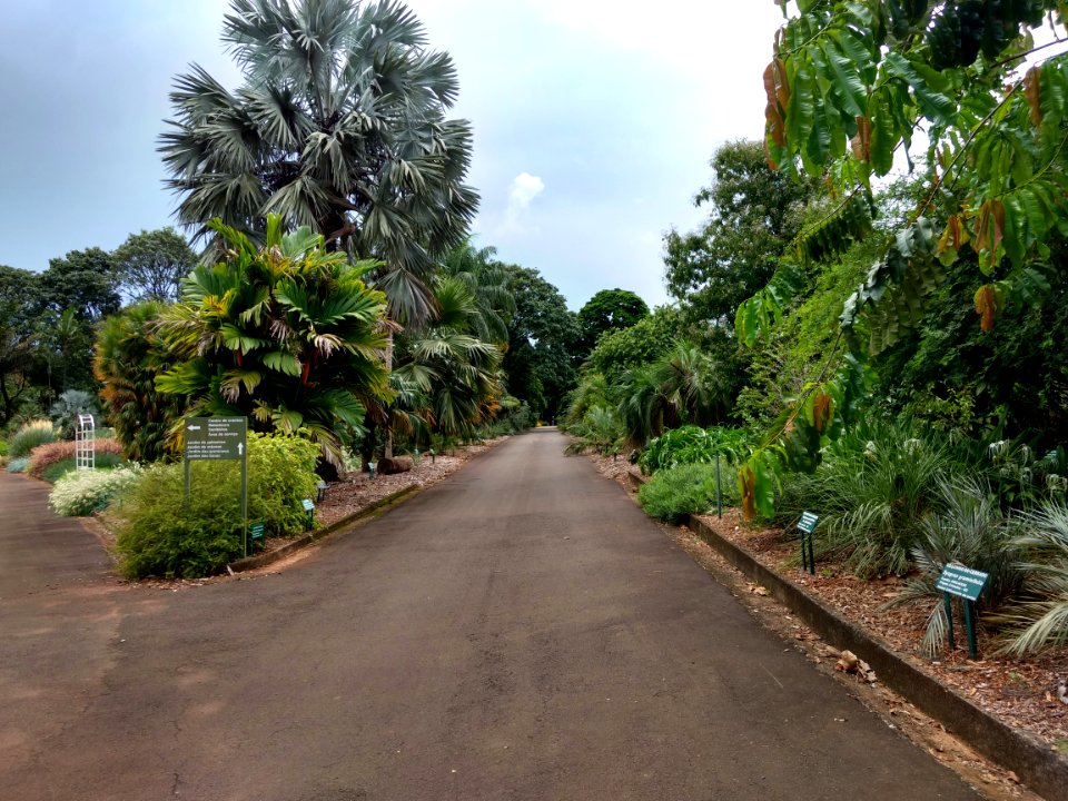 Jardim Botânico Plantarum
