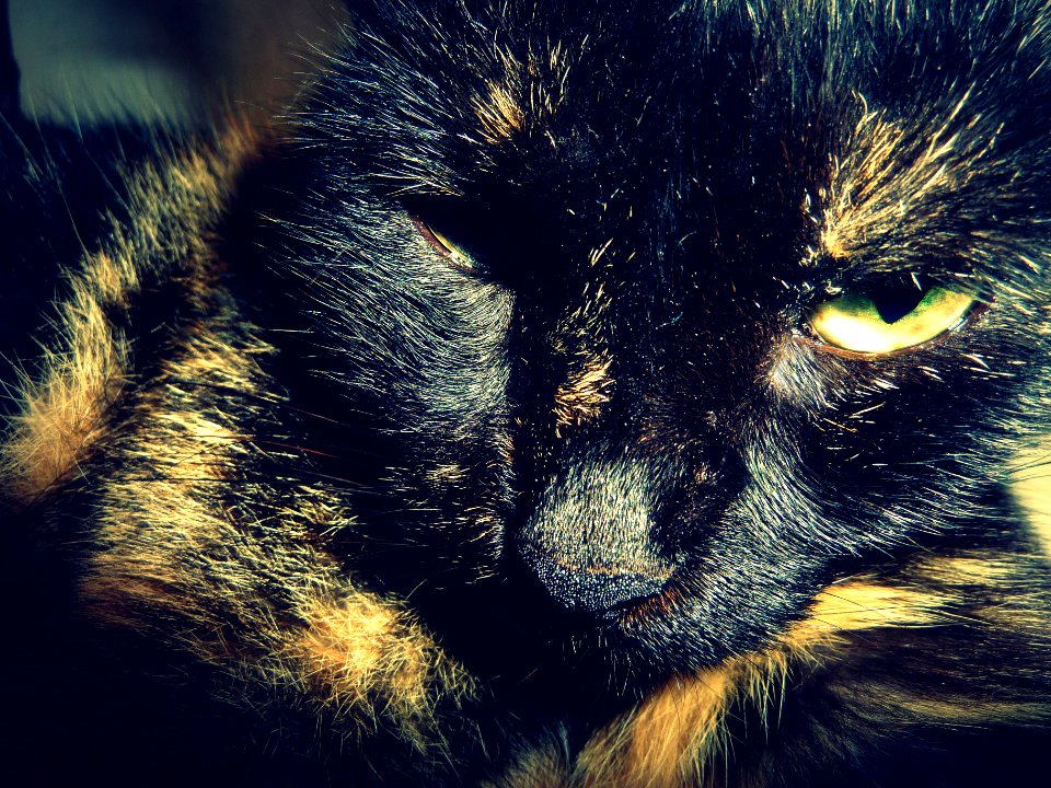 Her name is Foufouille
