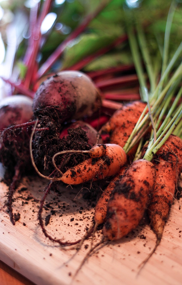 Beets veggies fresh