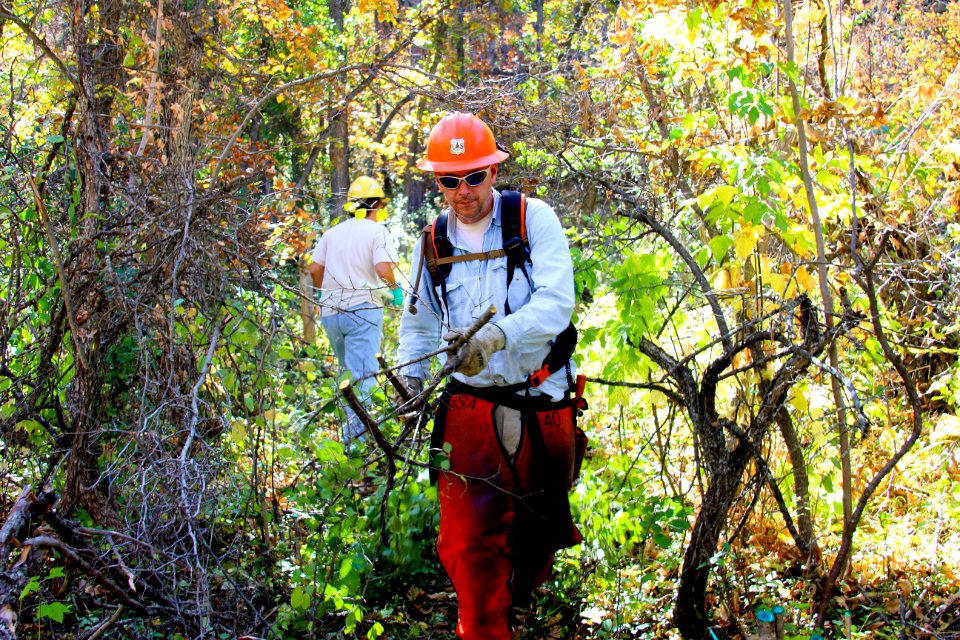 140925-FS-Boxelder DugoutGulchBuckthornProject-Boxelder-001