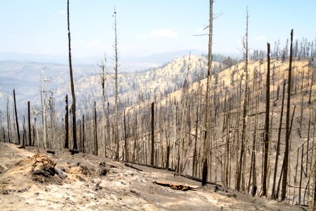 20160730-FS-Shoshone-KH-066.JPG