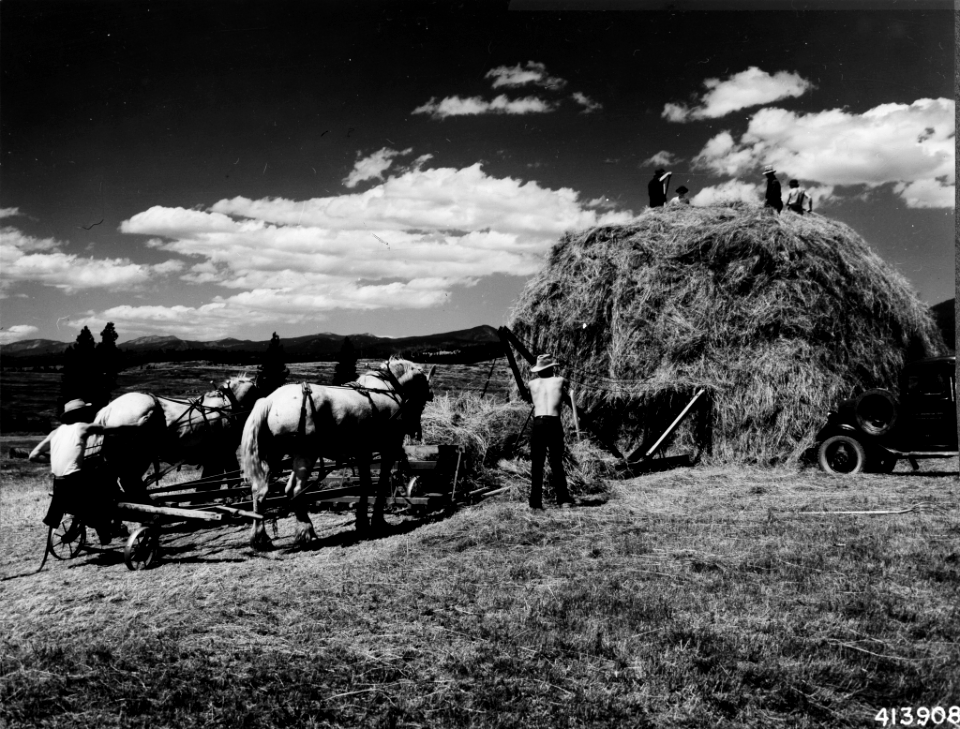 194108XX-FS-Lolo-WJM-413908