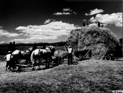 194108XX-FS-Lolo-WJM-413908