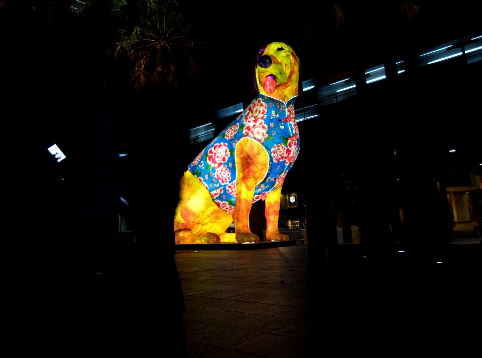 Dog @ Lunar New Year at Sydney Lunar Festival 2019