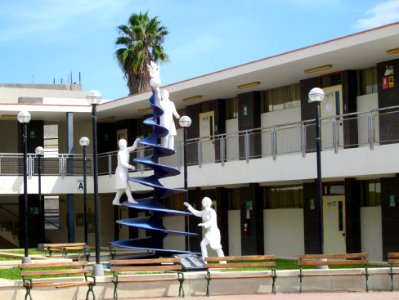 Facultad de Medicina de Ica