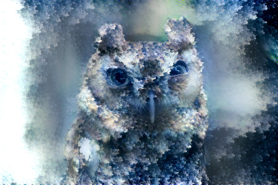 owl2-foam by tatasz-dazuqbc-2048-0.5-500.0