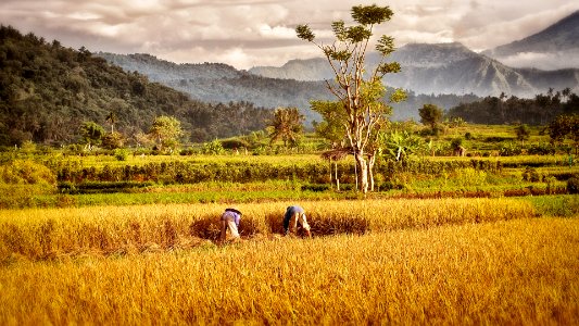 Bali is so beautiful!