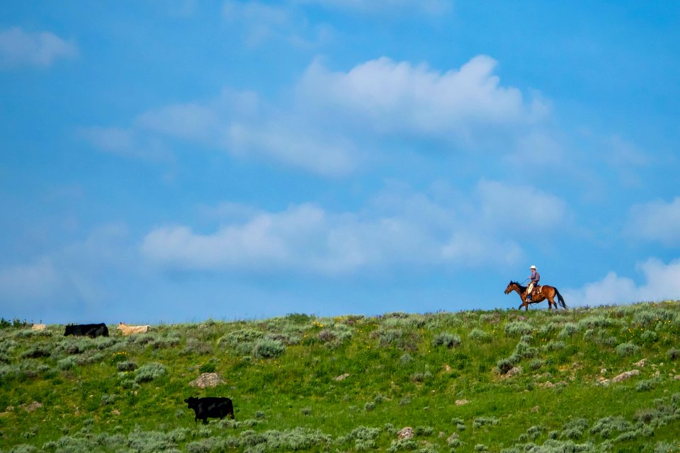 20180710-FS-Beaverhead-PJK-3027