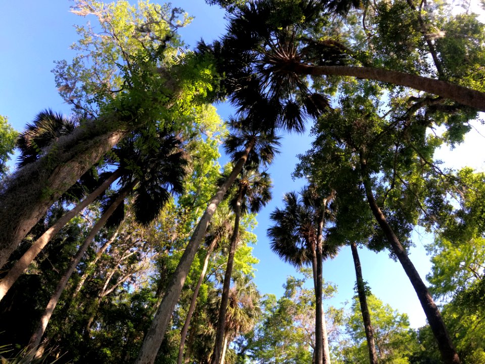 20180401-FS-Ocala-BF-040