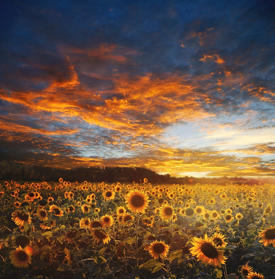 Scenery nature sky