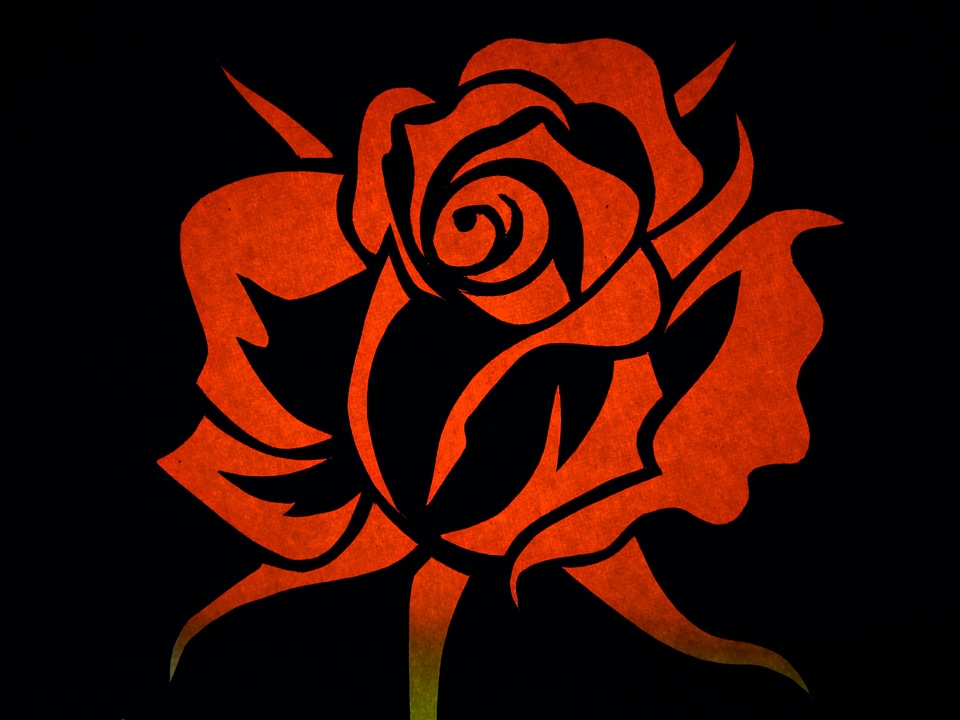 Bloom contour outlines
