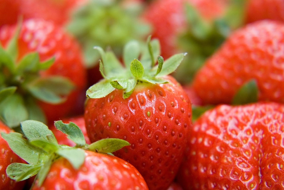 Health fresh food