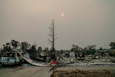180810-Shasta-CMR-0005