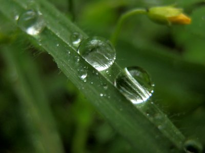 identical as two drops of water