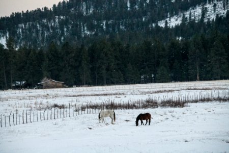 20181204-fs-kaibab-lsc-1167 47095346162 o