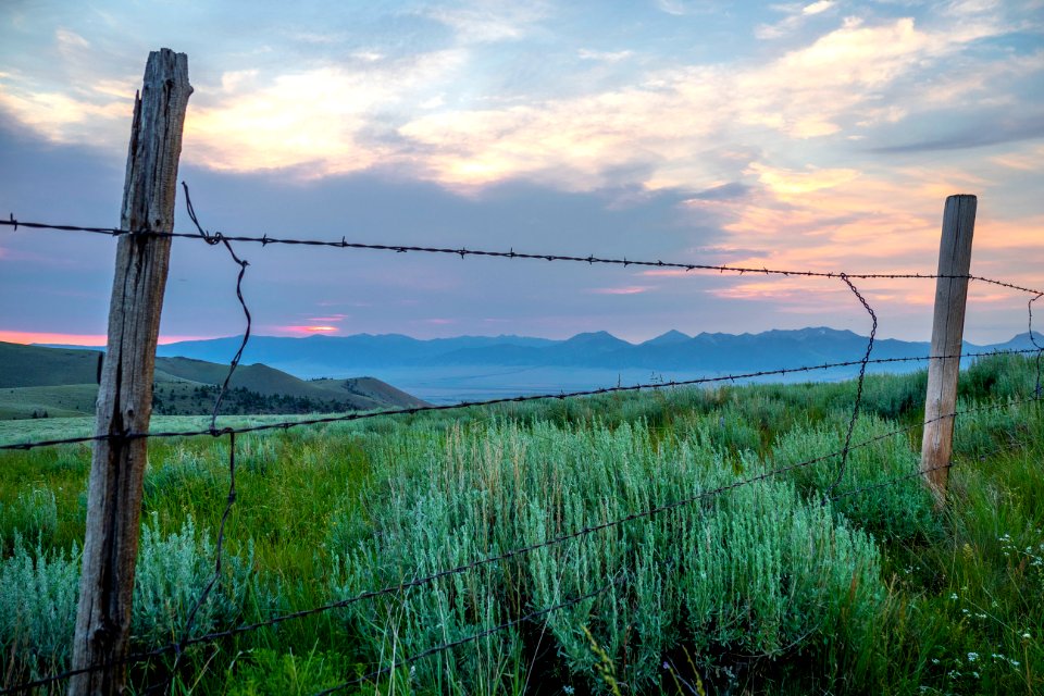 20180710-FS-Beaverhead-PJK-1160