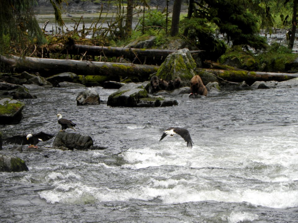 20120627-FS-Tongass-WZ-001
