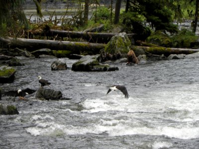 20120627-FS-Tongass-WZ-001