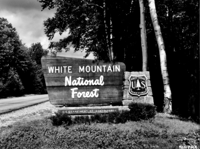 196608XX-FS-White Mountain-LJP-515783