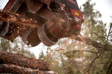 20181204-fs-kaibab-lsc-0325 40182727953 o