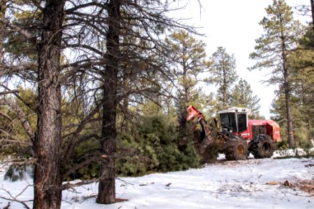 20181204-fs-kaibab-lsc-0504 40182682173 o