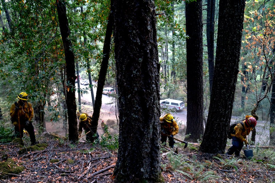180816-Mendocino-CMR-0468