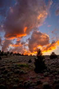 20180711-FS-Beaverhead-PJK-6719