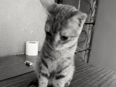Dulce