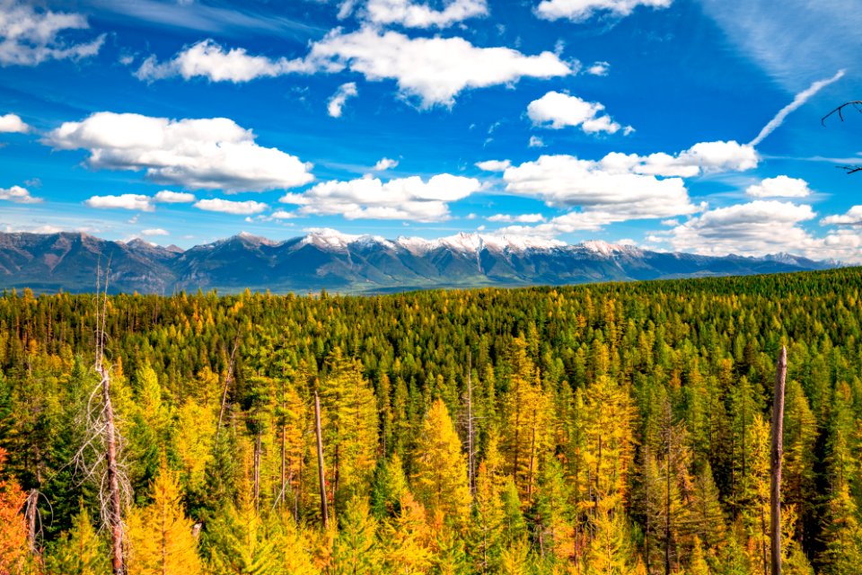 20190329-FS-FlatheadNF-YFYF-015