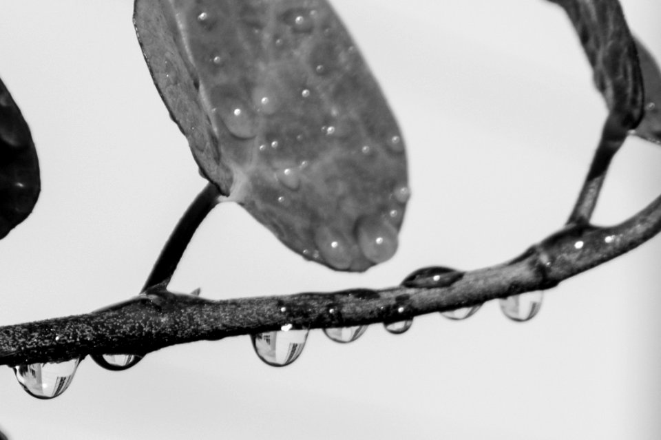 thumb rain ff-3374 1024