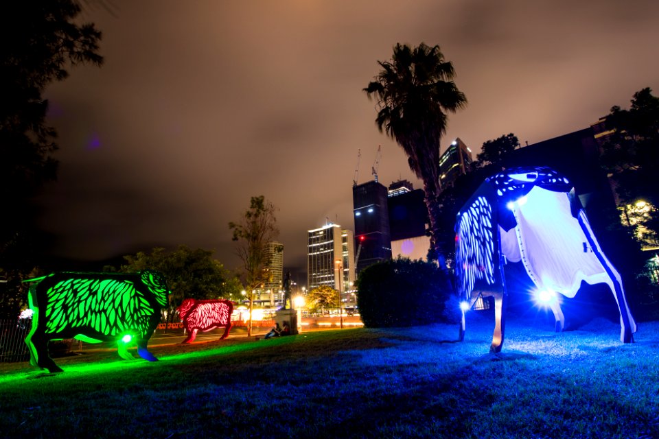 Sheep @ Lunar New Year at Sydney Lunar Festival 2019