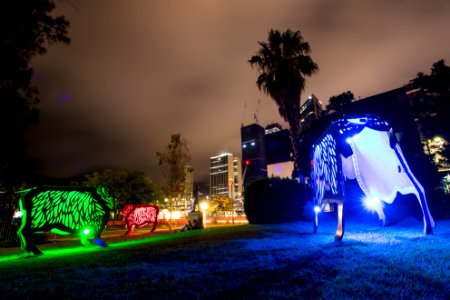 Sheep @ Lunar New Year at Sydney Lunar Festival 2019 photo