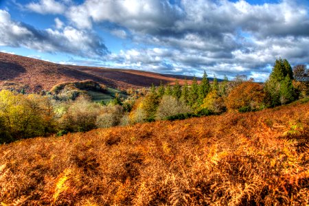 Dartmoor
