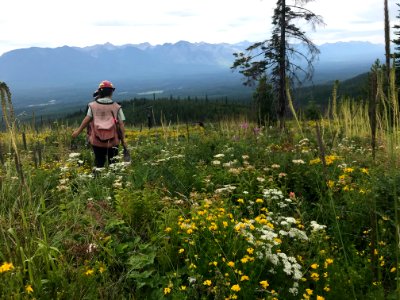 WorkingLionCreek-Flathead-May2020-001