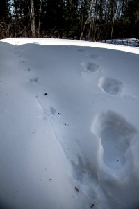20180301-FS-LSC-1393