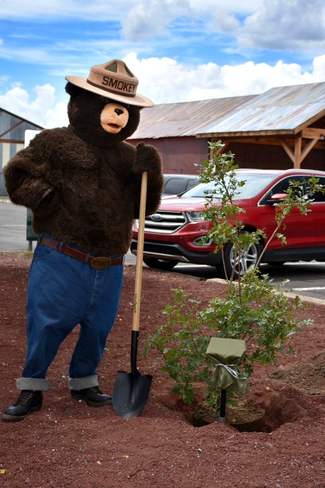 smokey-bear-75th-birthday-celebration-at-the-city-of-williams-visitors-center-2019 48505961146 o