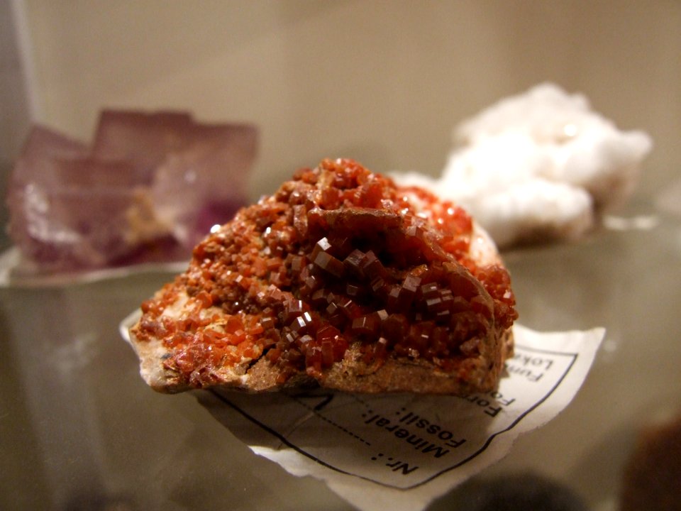 DSCF0036