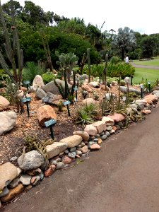 Jardim Botânico Plantarum
